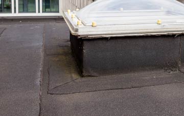disadvantages of Henley Street flat roofs